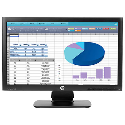 HP ProDisplay P202 20-inch Monitor