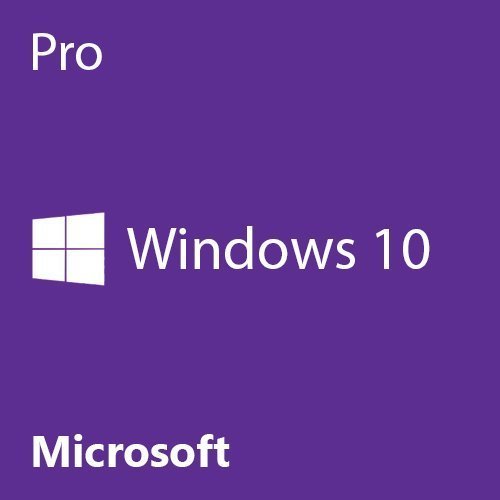 Microsoft Windows 10 Professional No media/Download
